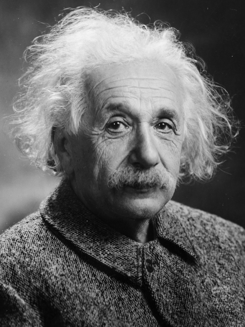 https://upload.wikimedia.org/wikipedia/commons/d/d3/Albert_Einstein_Head.jpg